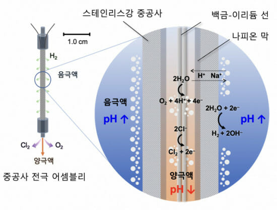 바닷물속 이산화탄소, 딱딱한 '탄산칼슘'으로 전환 성공